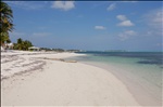 Beach, Little Cayman
